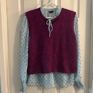 Plum Knit Sleeveless Sweater Vest over Light Blue Heart Blouse